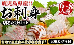 鹿児島県産！お刺身切るだけセット(6人～8人前)国産 刺し身盛 鹿児島産 魚貝 魚介 海産物 刺身 蛸 たこ 海老 エビ かんぱち タイ 簡単調理 おつまみ セット 小分け 個包装【さるがく水産】akn028-17