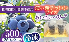 ＼毎年8月より順次発送/あいさいベリー（ブルーベリー冷凍果実）250g×2パック 産地直送 腸活 美肌 冷凍ブルーベリー 愛西市 / あいさいベリーLABO [AEBZ005]