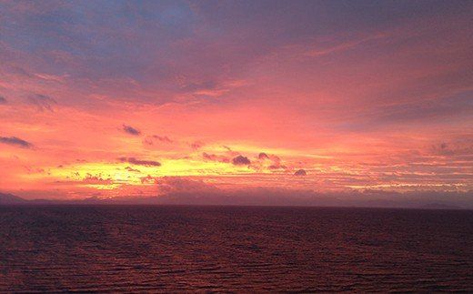 【M-483】今津サンブリッジホテル レイクビューツインルーム朝食付きペア宿泊プラン ［高島屋選定品］