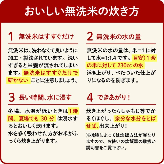 米 無洗米 2kg 静岡県産 静岡のお米 令和6年産 お米 おこめ ご飯 ごはん 国産 産地直送 静岡県 藤枝市
