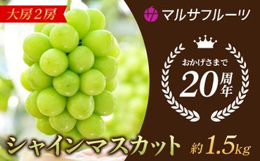 [25年発送先行予約]シャインマスカット 約1.5kg 大房 2房 ※常温配送 笛吹市 シャイン 葡萄 大人気 ジューシー たっぷり 大容量 088-012