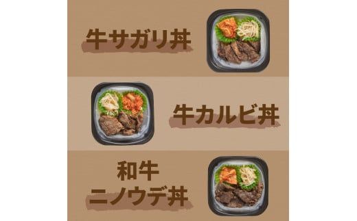 【3ヶ月定期便】レンジで丼！牛肉丼定期便 ( 牛肉 弁当 総菜 冷凍 簡単調理 サガリ カルビ ニノウデ )【999-0164】