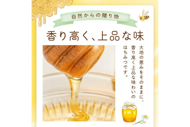 京都 生はちみつ「京丹後 山頂のはちみつ」 500g(100g×5) 【国産　非加熱】　ハチミツ　蜂蜜 ハニー　SW00004