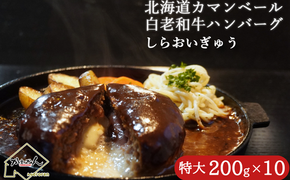 道産和牛カマンベールチーズハンバーグ（200g）10個入り MROA050