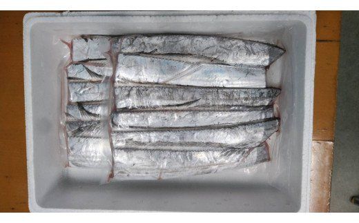 【2024年10月発送開始】新鮮 太刀魚 1kgセット　N072-A0110