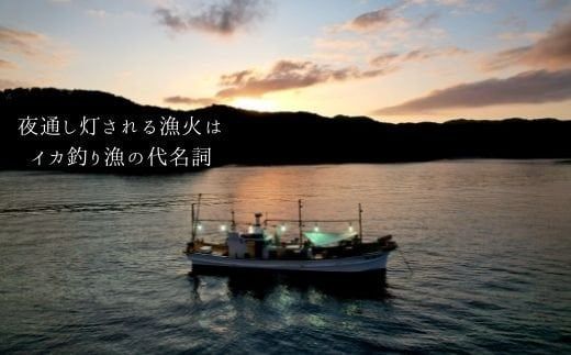 【大容量】旬の絶品 寒シマメげそ唐揚げ1kg とれたてスルメのプリプリ食感 海士町産玄米粉使用