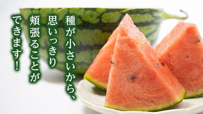 【 先行予約 2026年7月下旬以降発送 】 小玉 スイカ ピノ・ガール 2玉 優以上 NONAKA HIROSHI FARM すいか 西瓜 数量限定 甘い 夏 果物 旬 [AX029ya]