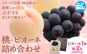 【2026年先行予約】桃・ピオーネ詰め合わせ 約1kg クール便 冷蔵便 桃 もも 葡萄 ブドウ ぶどう ピオーネ フルーツ セット 先行予約 晴れの国おかやま館 《2026年8月下旬‐9月中旬頃出荷》 フルーツ 果物 果実 岡山県 笠岡市---H-22a---