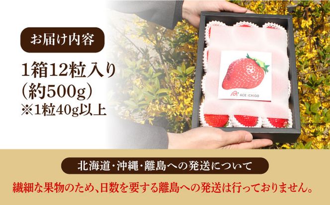 【1月中旬以降順次発送】築上町産 あまおう  12粒《築上町》【エースいちご株式会社】 大粒 あまおう 苺 いちご[ABAG006]