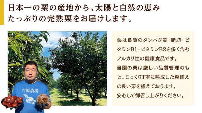 【 吉原農場 の 完熟栗 】 熟成 焼き栗 4袋( 200g × 4袋 ) 完熟 栗 くり クリ 栗ごはん 贈答 ギフト 果物 フルーツ 数量限定 旬 秋 冬 正月 おせち [CX001ci]