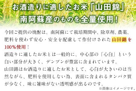 本格米焼酎 原酒 南阿蘇 1本720ml《60日以内に出荷予定(土日祝除く)》熊本県 南阿蘇村 SOCKET 焼酎 山田錦 酒---sms_socketsak_60d_r7_11000_720ml---