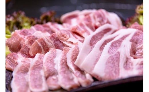 富士ケ嶺ポーク 【焼肉用総重量約1.5kg】 FAB016