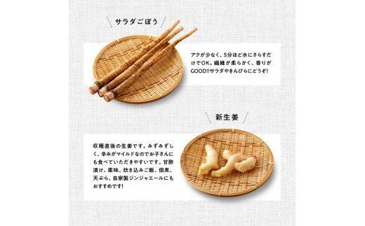 野菜 産直 おすず村 厳選詰め合わせセット（小）【 旬野菜 フルーツ 直売所 産地直送 宮崎県産 】☆[G3801]