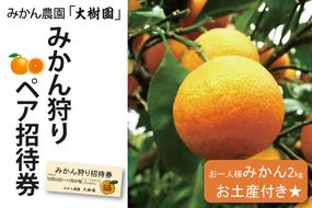 【先行予約】【10月中旬より発送開始】みかん狩り　ペア招待券（お土産付き）【埼玉県 春日部市 ふるさと納税 観光 農業体験 レジャー 予約 チケット カップル シニア おでかけ】（CH001-1）