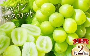 【2026年8月下旬～発送】シャインマスカット 約2kg（約2～5房）/ ぶどう ブドウ 葡萄 マスカット しゃいんますかっと フルーツ 果物 / 南島原市 / 長崎県農産品流通合同会社 [SCB076]