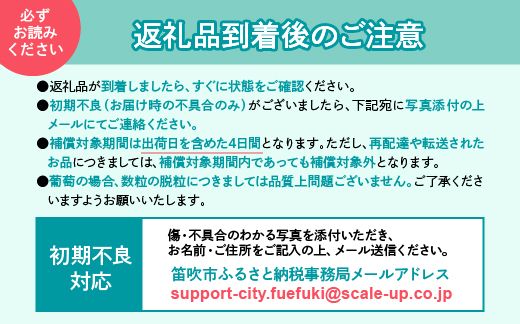 ＜25年発送先行予約＞山梨県笛吹市産　シャインマスカット2房～3房　１kg以上 223-007