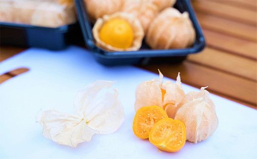 鬼あかり（ほおずき）120g×4パック ｜ 鬼灯 ホウズキ 特産品 ジャム フルーツ 愛媛県 鬼北町 ※2027年3月～発送