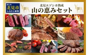 北見エゾシカ 熟成肉山の恵みセット ( 肉類 肉 国産 鹿肉 熟成 セット 詰め合わせ 骨付き ロース しんたま 内もも ステーキカット肉 ハバキカット ハツ ヒレ ステーキ用スライス )【025-0030】