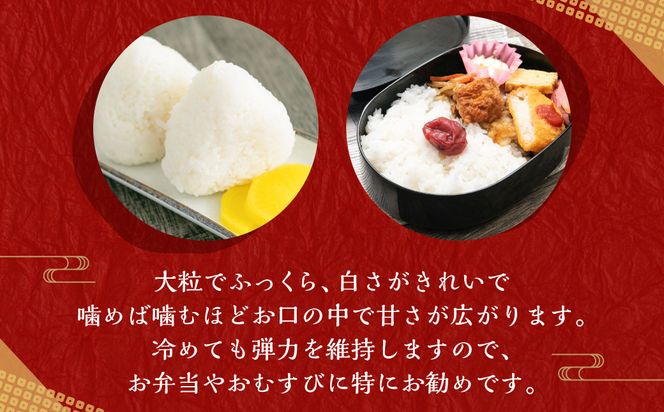 【令和7年産米】【精米即日発送】新潟県村上市 桃川産 特別栽培米 新之助 8kg　AB4037