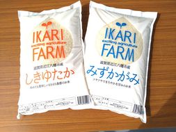 【新米】【6年産】「しきゆたか」「みずかがみ」詰め合わせセット　白米【10㎏（5㎏×2品種）】【C022U】