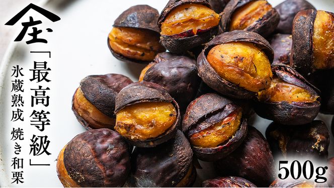 y錧΂݂炢sz_ Iw ō xXn ĂaI 500g 10Jn   錧Y I  ČI  XC[c  aI  ʕ t[c _ [BK15-NT]