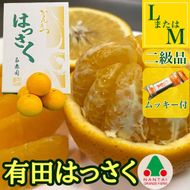 手詰め 有田 はっさく L × 8玉 または M × 10玉 サイズ ちょっと 傷あり ムッキー 同梱 南泰園 みかん  BS715