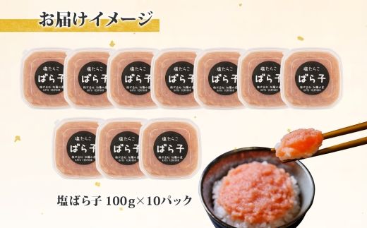 3003.  塩ばら子 たらこ 100g×10個 計1kg 魚卵 バラコ 食べ比べ 鱈子 タラコ お取り寄せ おかず ご飯のお供 おつまみ 酒の肴 魚介 海鮮 ギフト 送料無料 北海道 弟子屈町