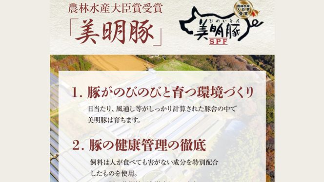 【茨城県共通返礼品／行方市】 美明豚 × 常陸牛 最高のステーキセット 約1,350g 豚肉 牛肉 豚 牛 ひたち牛 SPF ブランド牛 ブランド豚 詰め合わせ 食べ比べ セット 贈答用 国産 黒毛和牛 最高級 サーロイン ロース ステーキ [CF005ya]