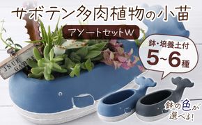 ビン玉編み yk001（高知県室戸市） | ふるさと納税サイト