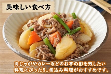 北海道　熟成じゃがいも　 20kgメークイン　ジャガイモ 北海道産 じゃがいも メークイン 10kg ジャガイモ | 北海道