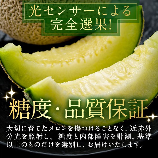 【0111109a】＜訳あり＞マル福の高級アールスメロン(1玉・1.7kg)メロン フルーツ 果物 果実 1キロ 数量限定 期間限定【マル福園芸組合】