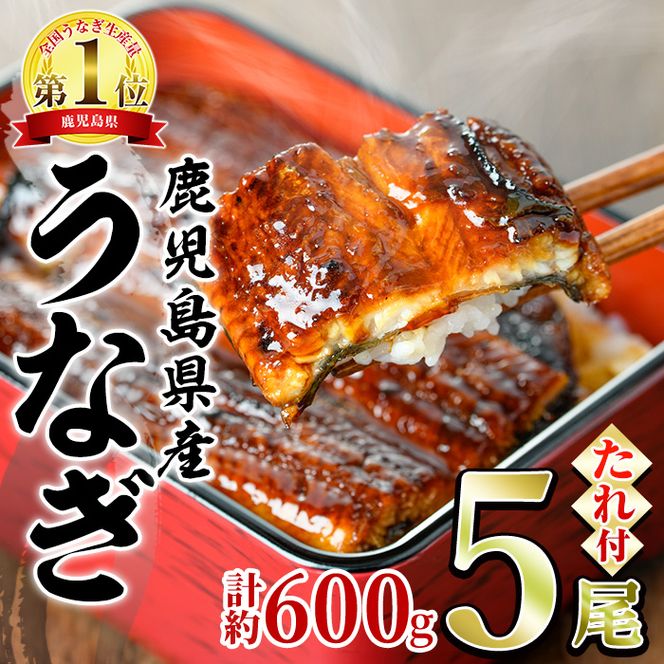 【0244311a】並サイズの満足感！東串良町のうなぎ蒲焼(無頭)(5尾・計約600g・タレ、山椒付)うなぎ 高級 ウナギ 鰻 国産 蒲焼 蒲焼き たれ 鹿児島 ふるさと 人気【アクアおおすみ】