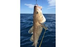 232.ワッカBBB宿泊券（３名様オホーツク釣りプラン　夕食バーベキュー）