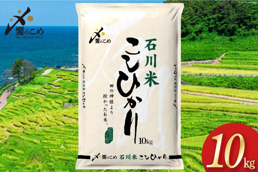 [期間限定発送] 米 令和7年 石川県産 石川米こしひかり[穂立]10kg [中橋商事 饗のこめ (あえのこめ) 石川県 宝達志水町 38601198] コシヒカリ お米 コメ 白米 精米 おこめ こめ 10キロ ごはん ご飯 国産