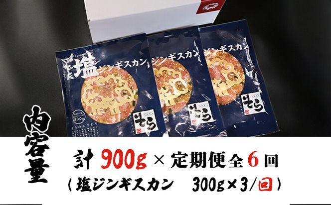 【定期便：全6回】知床ジンギスカン店「そら」知床ジンギスカン味付き「塩ダレ」生ラム肩ロース900g（300g×3）【16018】