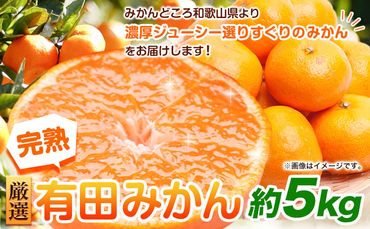 ＜先行予約＞厳選　完熟有田みかん5kg+150g（傷み補償分）【光センサー選果】 池田鹿蔵農園@日高町（池田農園株式会社）《11月中旬-1月末頃出荷》和歌山県 日高町【配送不可地域あり】---wsh_idn40_11c1m_24_11000_5kg---