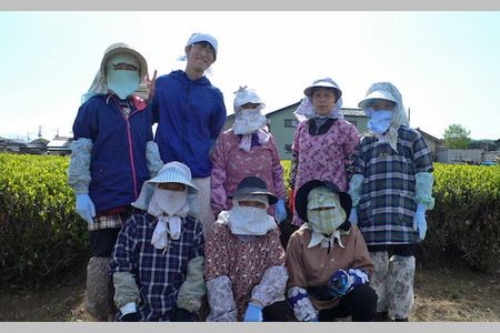 D4027 村上銘茶詰め合せD 