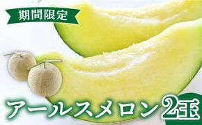 【2026年11月中旬～発送】【数量限定】【高級フルーツ】 アールスメロン 2玉 / 果物 フルーツ メロン めろん / 南島原市 / 長崎県農産品流通合同会社 [SCB074] 先行受付 メロン 先行予約 青肉 メロン 3kg以上 青肉メロン メロン 