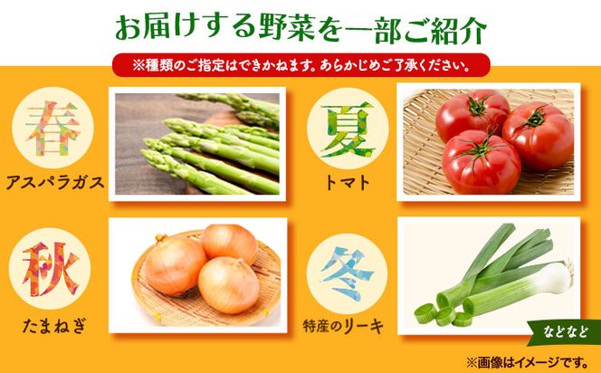 旬の新鮮野菜とお米詰め合わせセット 野菜5～10品目入 青空市きらり《30日以内に出荷予定》岡山県 矢掛町 野菜 野菜詰め合わせ 米 米3kg トマト きゅうり アスパラガス 玉ねぎ リーキ 送料無料---osy_ckrrrys_30d_24_15000_s---