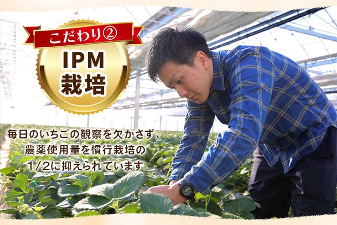 いちご様専用 アンファテイ モイスチャーNA 1個 （しっとり保湿