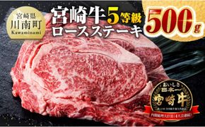 ５等級！宮崎牛ロースステーキ500g 肉 牛 牛肉 国産 黒毛和牛[D0612]