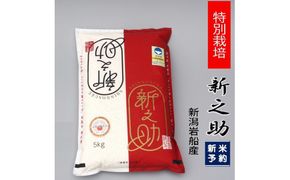 【新米受付・令和7年産米】食味鑑定士板垣謹製　新潟県 岩船産 特別栽培 新之助 5kg 1039009N ｜ 新耕農産 白米 一等米 プレミアム米 ツヤツヤ 農家直送 お米 低温倉庫保管