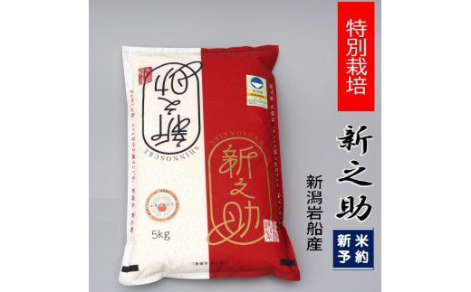 【新米受付・令和8年産米】新潟県村上市岩船産 特別栽培 新之助 5kg 1039009N ｜ 食味鑑定士板垣謹製 新耕農産 白米 一等米 プレミアム米 ツヤツヤ 農家直送 お米 低温倉庫保管