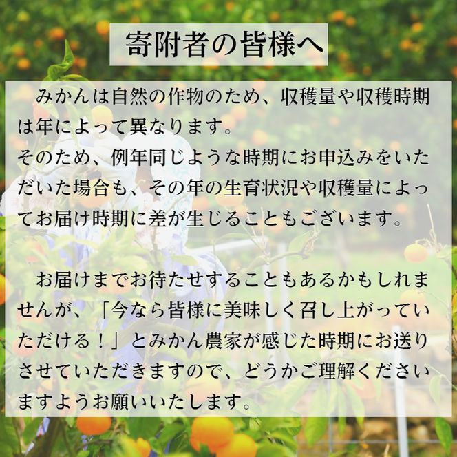 233.【10月お届け】有田みかん「未来への虹」（10kg）(A233-2)