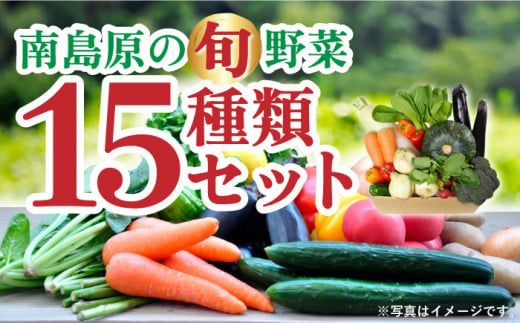 季節の野菜 15種類 セット 旬 産地直送 詰め合わせ / 野菜 南島原市 / ふるさと企画 [SBA023] 