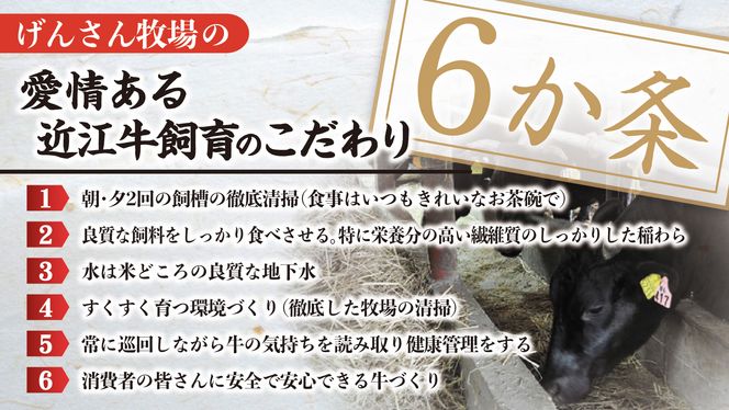 【A4等級以上】近江牛モモすき焼用切落し 250g【DG22SM】