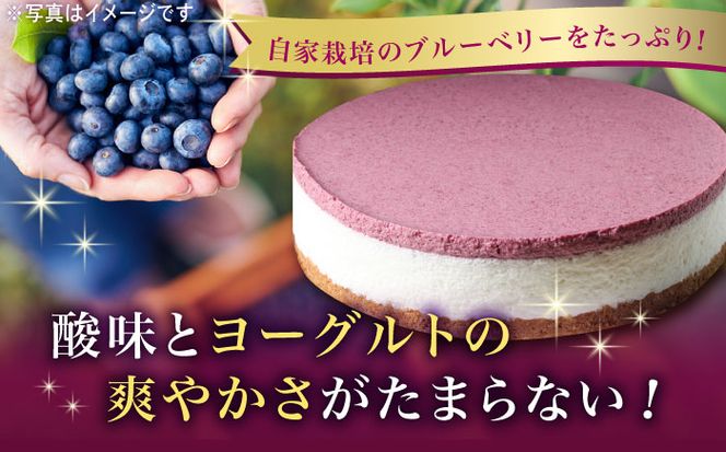 【全3回定期便】【築上町産ブルーベリー使用】 ブルーベリー ヨーグルト ムース ケーキ《築上町》【(有)工房よしかわ】 国産 ブルーベリー[ABAK004]