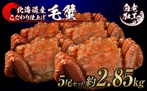 毛蟹 ボイル済み 冷凍 5尾セット 約2.85kg  BM298