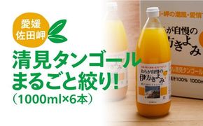 【愛媛県産】おらが自慢の伊方きよみジュース（1000ml×6本） ストレート果汁100％◇