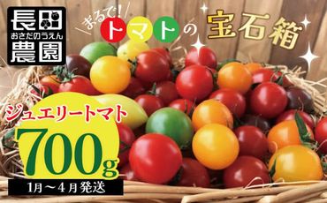 【お試し】まるでトマトの宝石箱！ジュエリートマト 約700g（1月～4月発送） H004-126